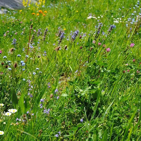 Apartamento Haus Jakob *