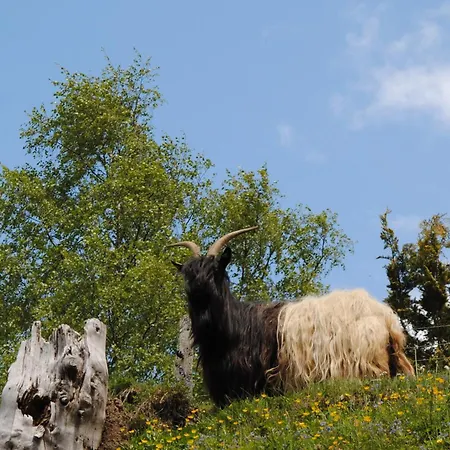 Apartamento Haus Jakob *