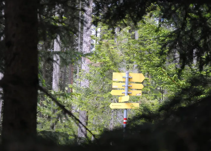 公寓 Haus Jakob 费尔兹姆斯